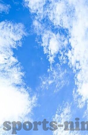 足球比分网网球-从足球比分网到网球天地，一场跨界体育数据的奇幻之旅